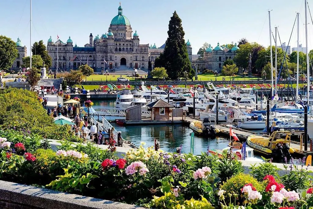 Waterfront Living In Victoria - Rooftop Patio, Bbq, Gym, Coffee Lejlighed Canada